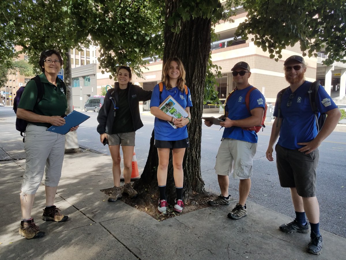 DCNRnews's tweet image. Members of the Harrisburg 10-month #PAOutdoorCorps crew help @TreeVitalize conduct street tree inventories in the @thecityofhbg to help with the planning, planting, maintenance, and removal of #communitytrees. Learn more about urban tree monitoring → bit.ly/2lBftYJ