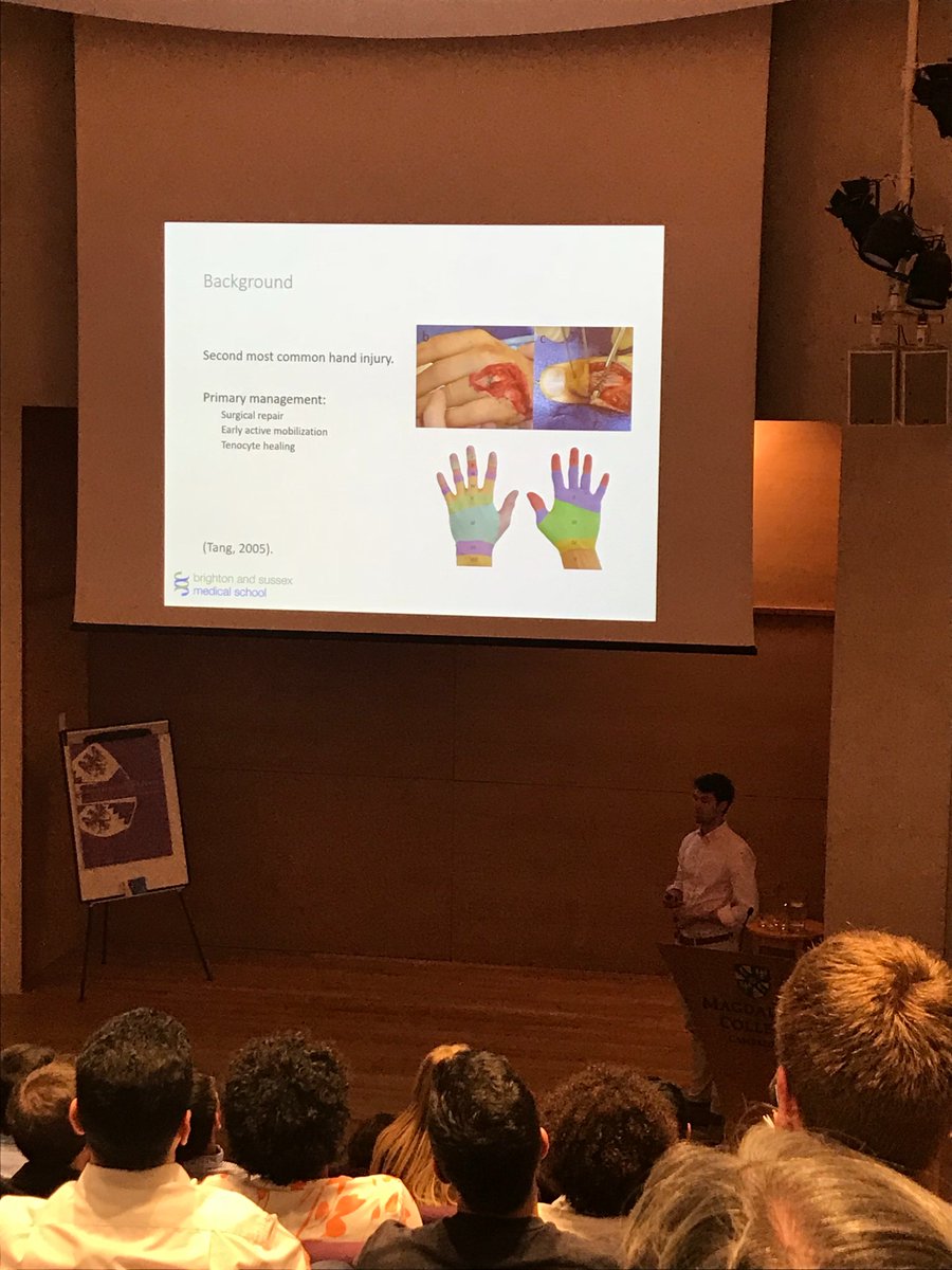 An040my's tweet photo. Our Year 4 medical student Joe Guppy presents to a packed British Association of Clinical Anatomists at Cambridge University about hand tendon repairs. Student research has a direct link to clinical practice. #Baca2018 @BSMSMedSchool https://t.co/C0msLYCYwW