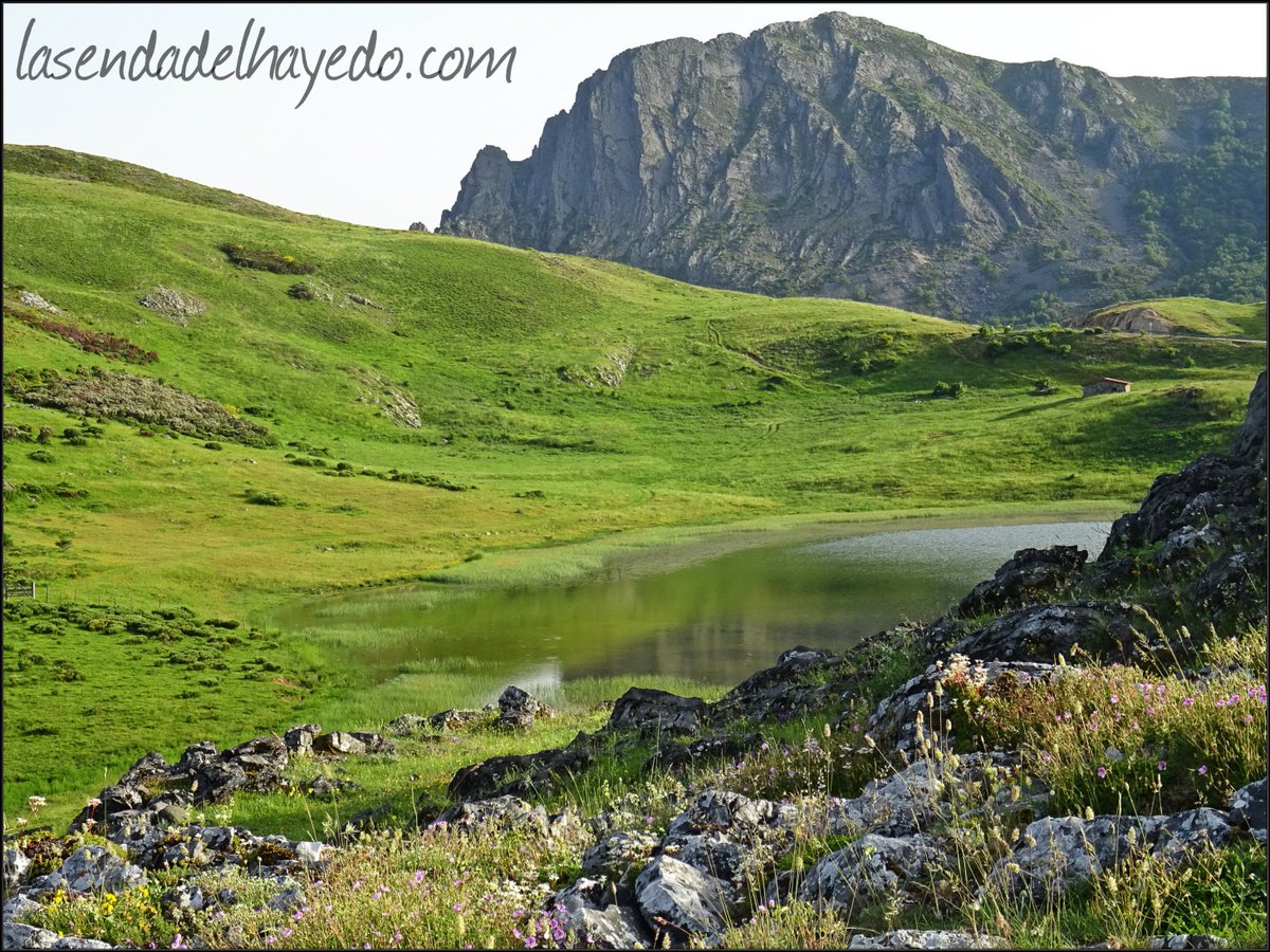 sendadelhayedo's tweet image. 📢Ruta actualizada: Entrevados y Valle de Pinzón, circular en Isoba 🏞#puebladelillo #León #leonesp #montañaderiañoymampodre Una ruta especial para verano, combinación de agua, bosque, pastos y roca 📌Apúntala ! lasendadelhayedo.com/ruta-entrevado…
@turisleonesp