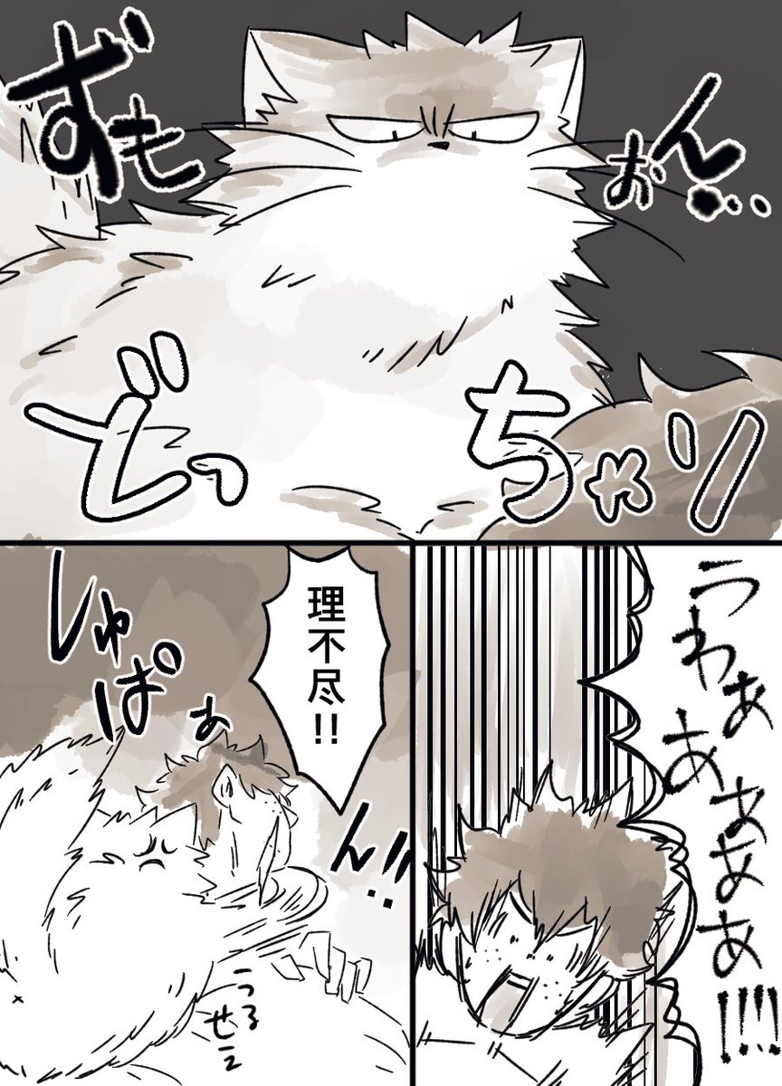 夜のぬっこと飼い主 