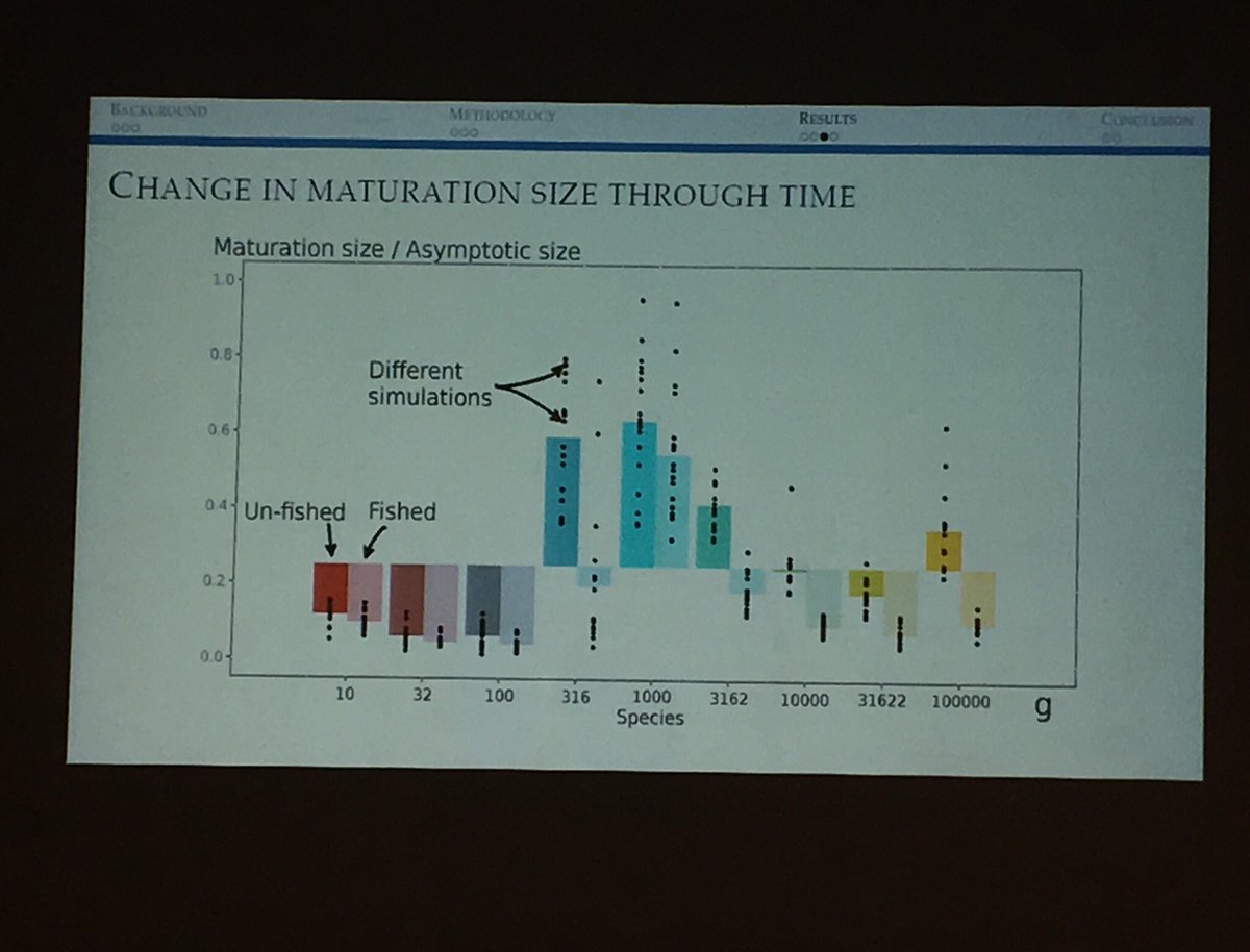 MaryMackay8's tweet photo. @UTAS_ @IMASUTAS PhD student Romain Forestier tells @imcc5 how fisheries and species predation interaction creates a fitness gradient which drives the trait dynamics like size  #sizespectrum #IMCC2018 https://t.co/eG1ti08N1H