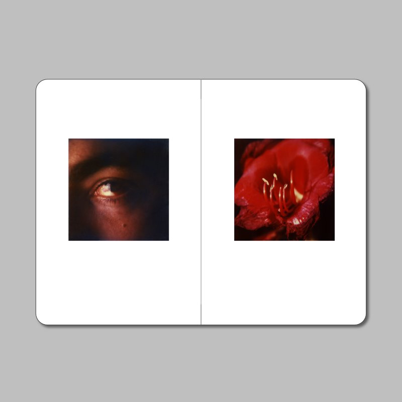pierrelegovic's tweet photo. 'The System' #Polaroids by @jorgesaenzpy printed on fine paper in an handcrafted photo notebook. Become part of our collection! Just upload your images, we make your book. https://t.co/q8FZ6X75dZ #polaroid #photography #photobook #buenosaires #GraphicDesign https://t.co/xoR52gi0gI