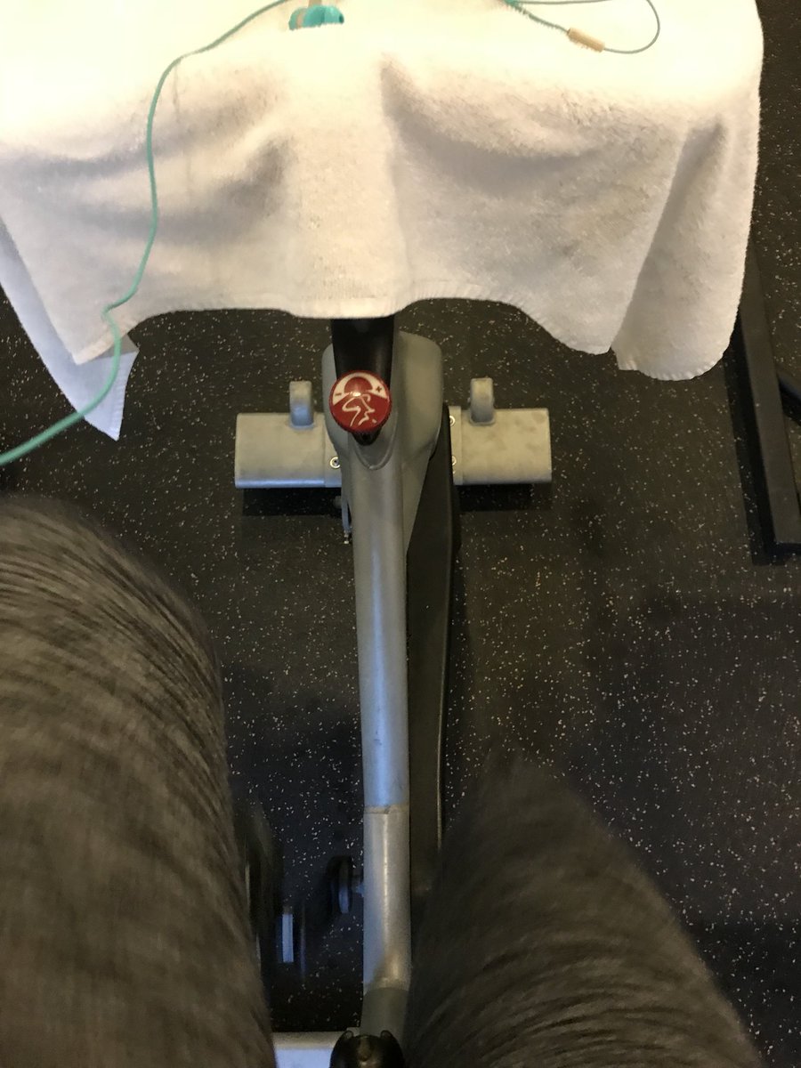 ledzeppchick's tweet photo. #riseandgrind #gottamakeweddingweight 🚴🏼‍♀️ https://t.co/48fDOlJ8BN