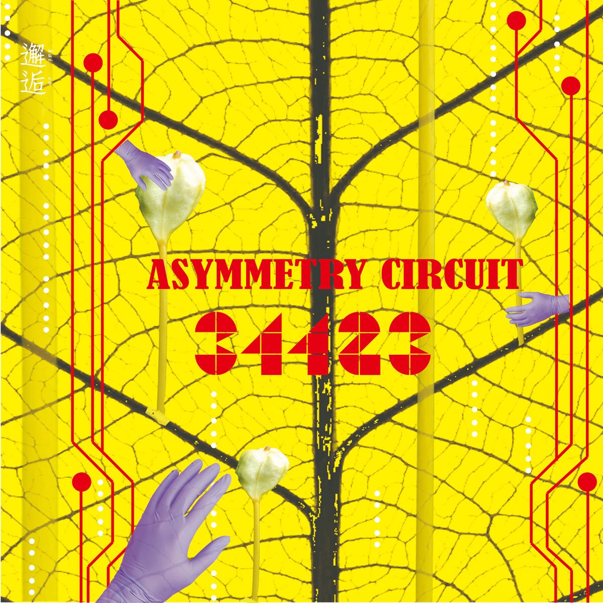 laha34423's tweet photo. 【NEWS②】連続リリースシングル第二弾”Asymmetry Circuit をレーベルサイトでご購入の方には、ボーナストラックとして映画監督田中佑和氏の未発表のMVと、主演で出演してくれていた中の坂本龍之介さんがのレア未発表トレイラームービーが付きます。
MVの対のような作品が...

https://t.co/02OVnZtJhz https://t.co/oDd43OgyNu