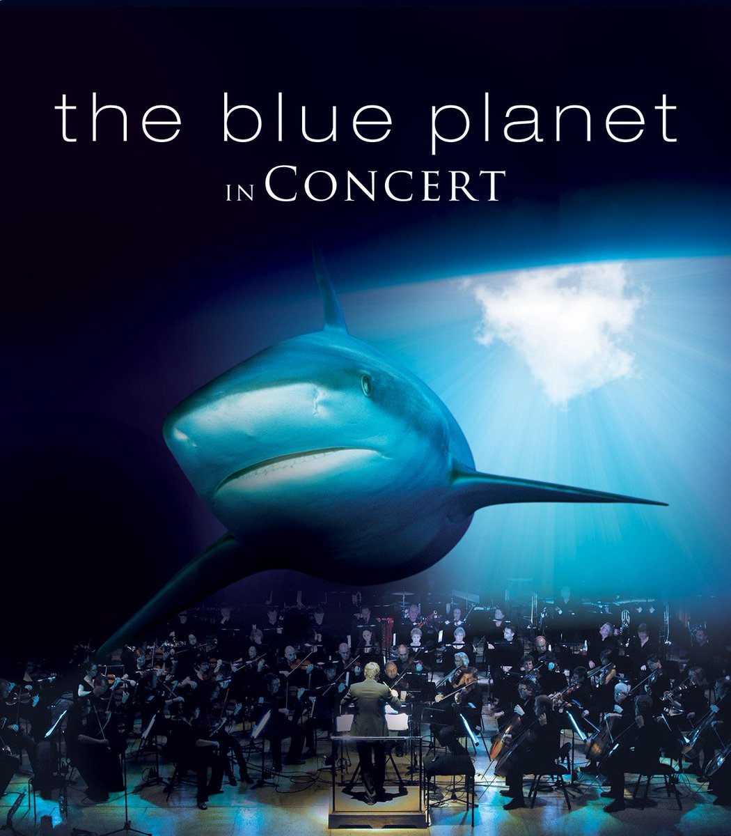 Bluedot Festival: Sustainability Programme - <a href="/bluedotfestival/">bluedot</a> 
manchestersfinest.com/arts/bluedot-f…