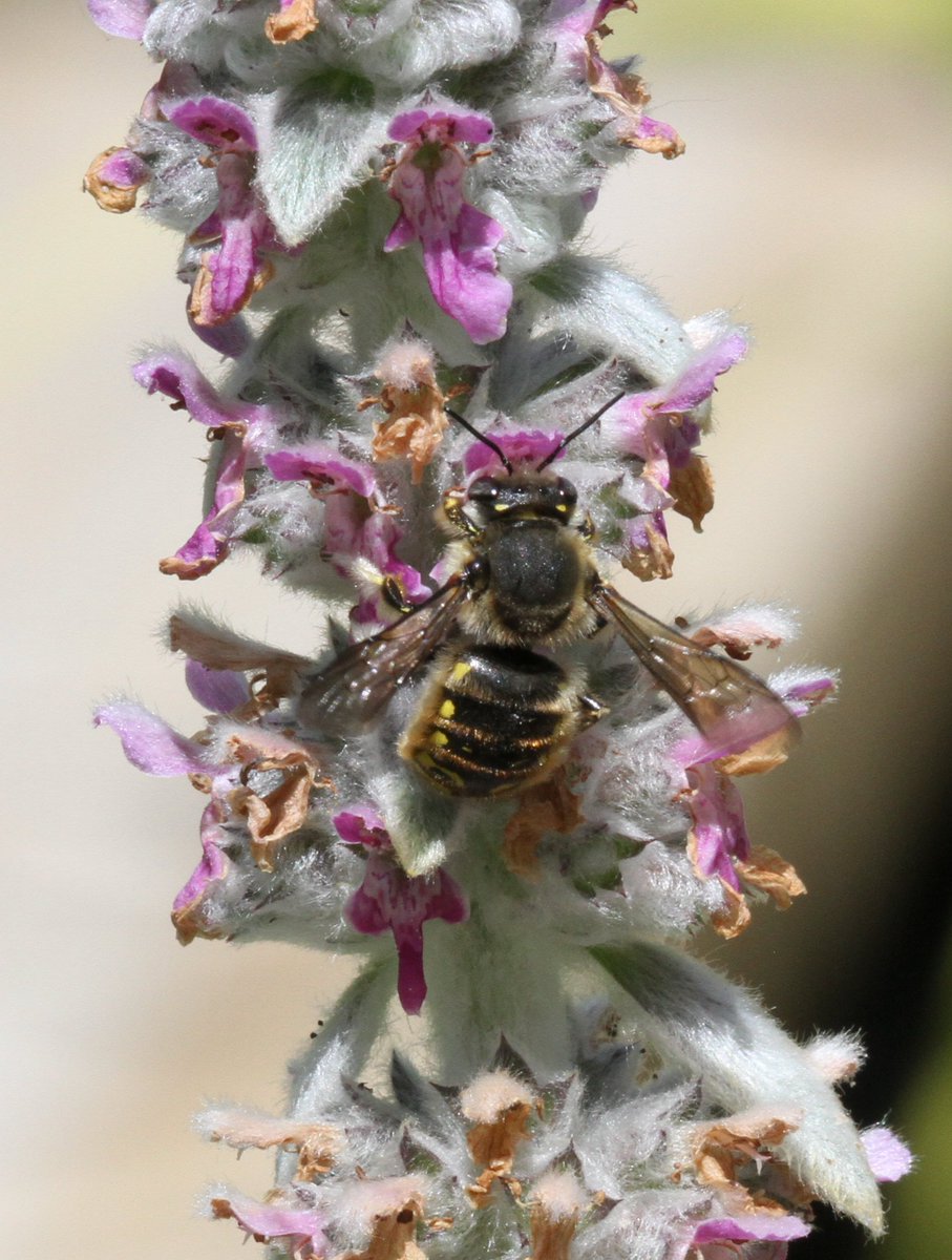 Colin Humphrey tweet media