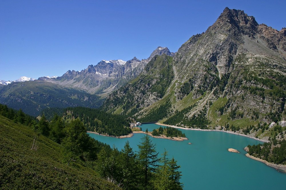 CAI150's tweet photo. ❗️#AlpeDevero, il #CAI esprime preoccupazione e disappunto per quanto emerge dalla documentazione pubblica del progetto "Avvicinare le montagne": https://t.co/OwbVrepH3x

#sostenibilità #ambiente #agenda2030 https://t.co/iF0j33IyvD