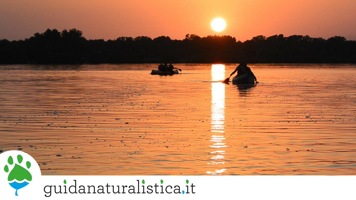 VisitFVG's tweet photo. 30/6 Gita in #canoa notturna🛶🛶🛶 alla Foce dell’#Isonzo! Massima tranquillità grazie alle guide e a tutti i dispositivi di sicurezza previsti.
https://t.co/cSBHdr3mKj #FVGlive #slowFVG https://t.co/5w61WCfJjC