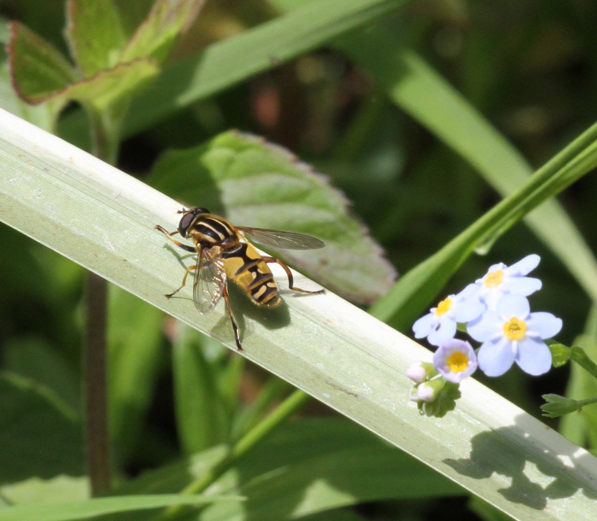 Colin Humphrey tweet media