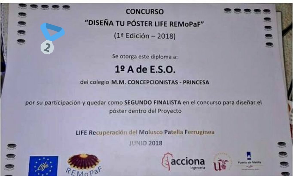 liferemopaf's tweet photo. Entrega de premios concurso DISEÑA TU PÓSTER #LIFE #REMOPAF. 1°🏆Anais Martín 3°ESO #buenconsejoMelilla. 2°🏆 1°B ESO @princesaconcep. 3°🏆 Nesrin Zaghdoud 1°ESO #IESRUSADIR. ENHORABUENA A Todos!!.@liferemopaf @LIFEprogramme @ACCIONA @unisevilla @puertodemelilla @AmpaBuenConsejo https://t.co/WxjCZ53865