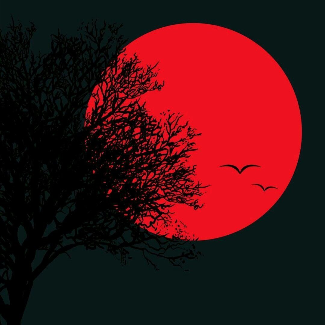 Adham Alafreat (@aalafreat) on Twitter photo 