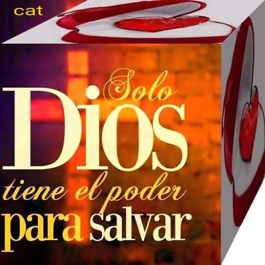 ArriojaTorre's tweet photo. https://t.co/jRTRnGHR5r