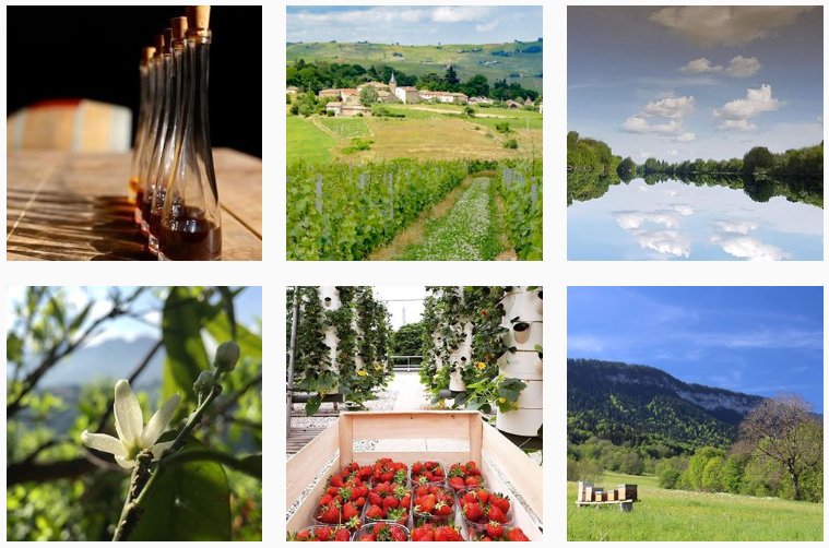 Vous avez prévu de visiter une ferme cet été? N'hésitez pas à partager vos photos sur <a href="/instagram/">Instagram</a> avec le hashtag #monbeauterroir 🐝🧀🍷 Et n'hésitez pas à nous suivre pour plus d'inspiration : instagram.com/monbeauterroir