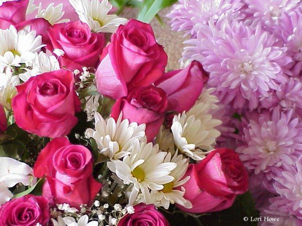 4WH5RvNyf6mZOV0's tweet photo. يـاللـي تتابعٍنـــي ترانـي اتابعٍــگ
 ۆأمـر فَي صفَحتگ واحب مرۆرگ

 ۆياللـي تقلي ذۆۆق الذۆق منبعٍگ 
ۆالذۆق ۆاللہ فَي سعٍادِة حضۆرگ
#مساكم https://t.co/XOUjSU5jzN