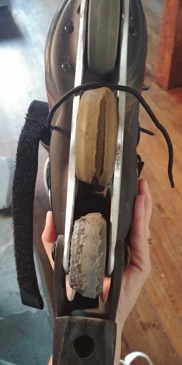 Meg MacDonald tweet media