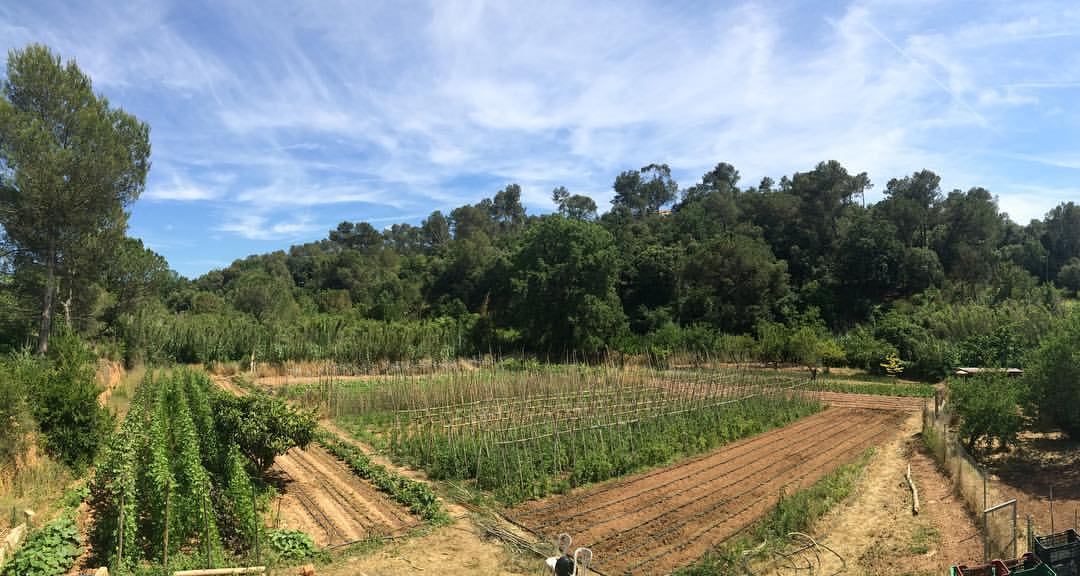 Alfred March explica el treball d'una granja ecològica a Valldoreix a 'Gat i Gos' cugat.cat/diari/sons/138… @cugatcat