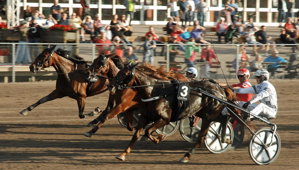 Joe_Zagari's tweet photo. #VanquishKronos ๐ฎ๐น #RajaMirchi won #Stosprintern division for 4yo Mare on @HDtravet @Halmstadtravet with @StallCE in 1.12.2 on 1640 over #RoseMary and #GlobalUpperStyle
๐ธ Lars B Persson https://t.co/rOoObsvHi3