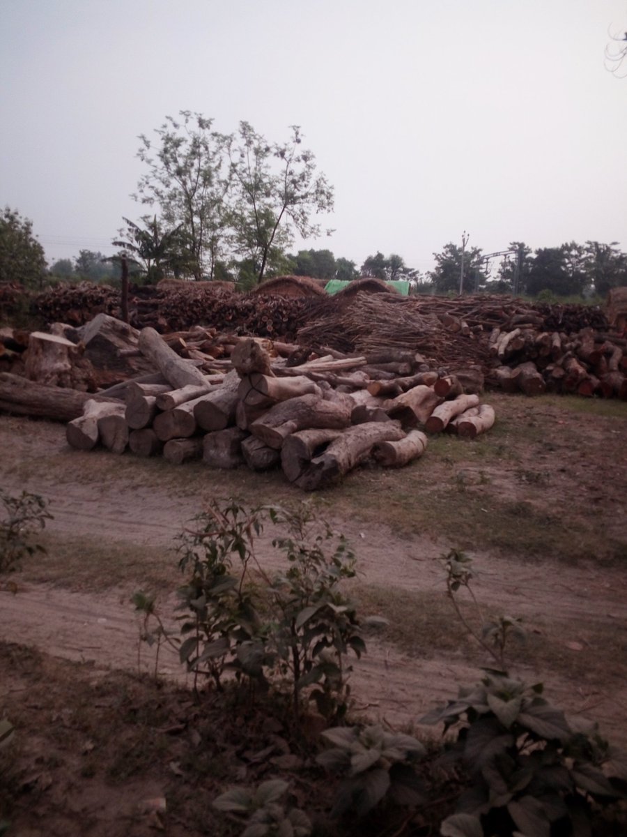 Yodha15's tweet photo. @UpforestUp @UPGovt @myogiadityanath @darasingh @dmgonda @gondapolice @PMOIndia @CMOfficeUP @kpmaurya1 श्रीमान ग्राम कूरी ( बरगदी कोट) करनैलगंज गो‌‌‍‌ण्डा में तीन अवैध आरा मशीनों का संचालन हो रहा है कृपया कार्रवाई करके तुरंत बंद कराने की कृपा करें https://t.co/EoUD3tHb1D