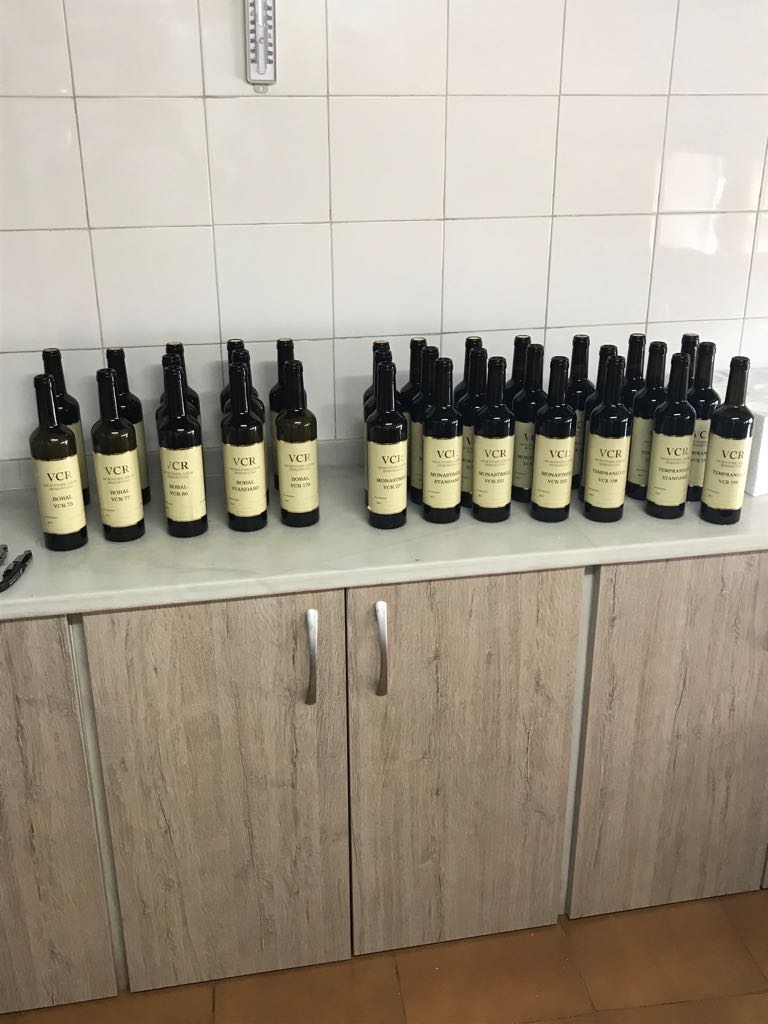 Inicio de las sesiones de cata de futuros clones de Vivai Cooperativi Rauscedon con los enólogos de <a href="/VinosJumilla/">Vinos DOP Jumilla</a> <a href="/DOUtielRequena/">Utiel Requena Wines</a>. Los resultados formarán parte de la descripción del análisis sensorial que se presentará en la memoria de homologación de los clones