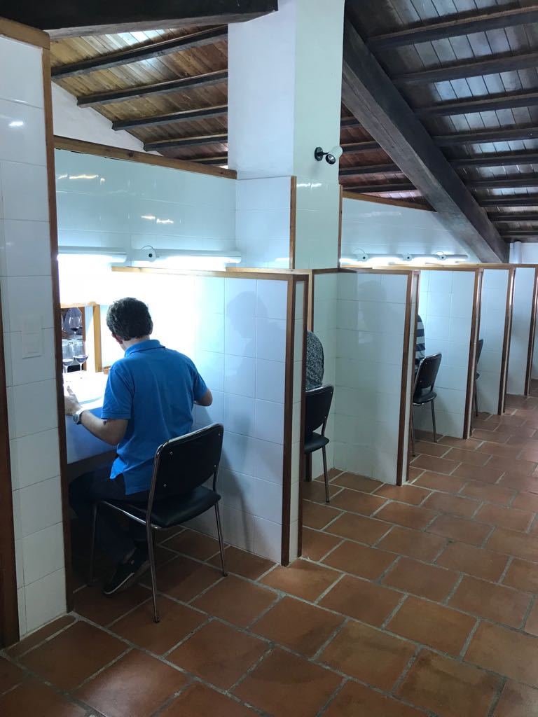 VCR_Esp's tweet photo. Inicio de las sesiones de cata de futuros clones de Vivai Cooperativi Rauscedon con los enólogos de @VinosJumilla @DOUtielRequena. Los resultados formarán parte de la descripción del análisis sensorial que se presentará en la memoria de homologación de los clones https://t.co/1PZSszlLm0