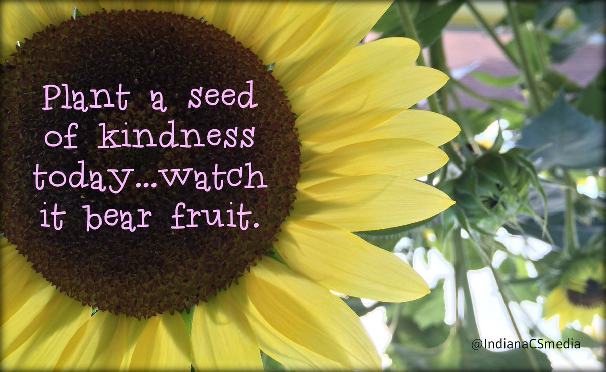 IndianaSVAmedia's tweet photo. Plant a see of #kindness today..watch it bear fruit. #InspireThemRetweetTuesday @gary_hensel https://t.co/gxf3LlptTb