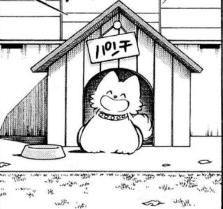 Shiori Shiori この前 タッチに出てくるパンチに似てる って言われて 調べたら犬だった もうそろそろ人間で似てるものに例えられたいなぁ T Co Facglysp4x Twitter