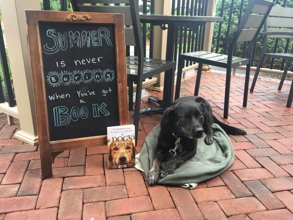 Bard's Alley Bookstore chalkboard