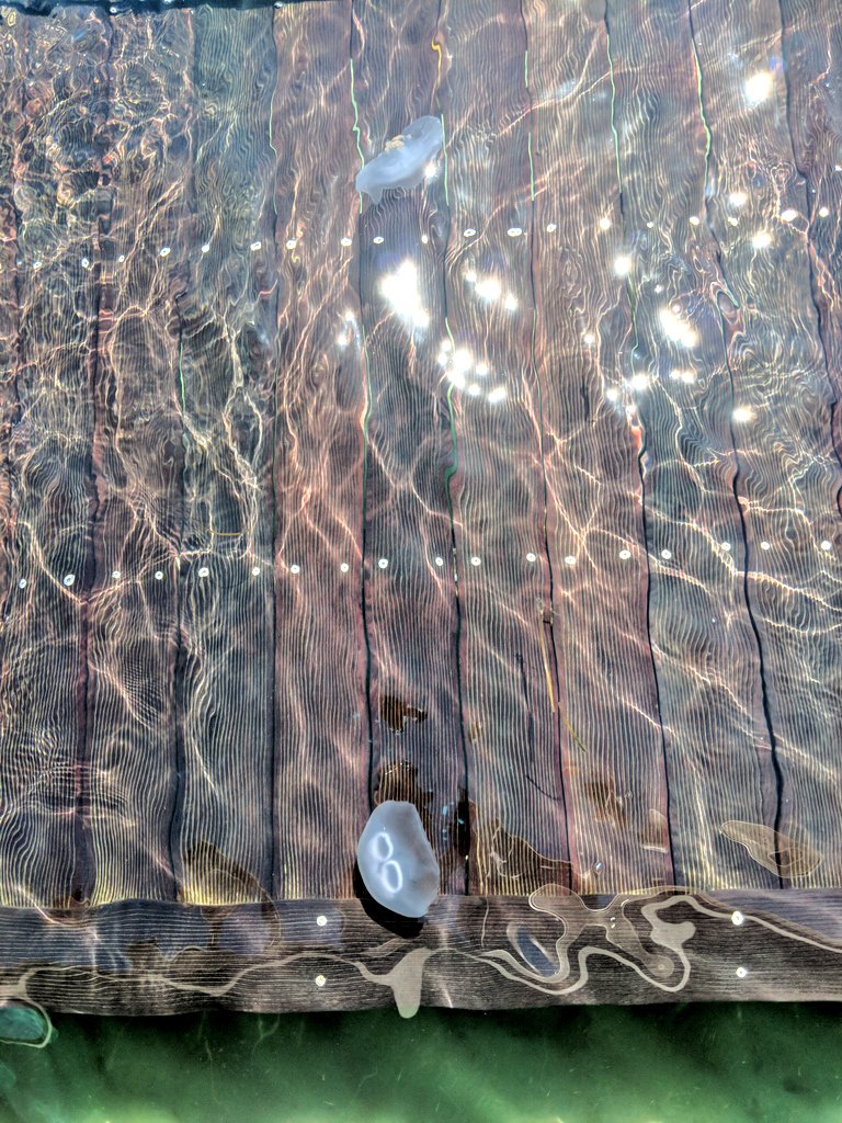 JoshNaylor's tweet image. Day 2 of #UnityHackweek. My jellyfish demo is coming along nicely