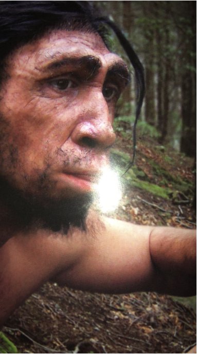 VANARAS?Homo erectus, Homo pekinensis, Homo rhodesiensis, Homo antecessor amongst many many others