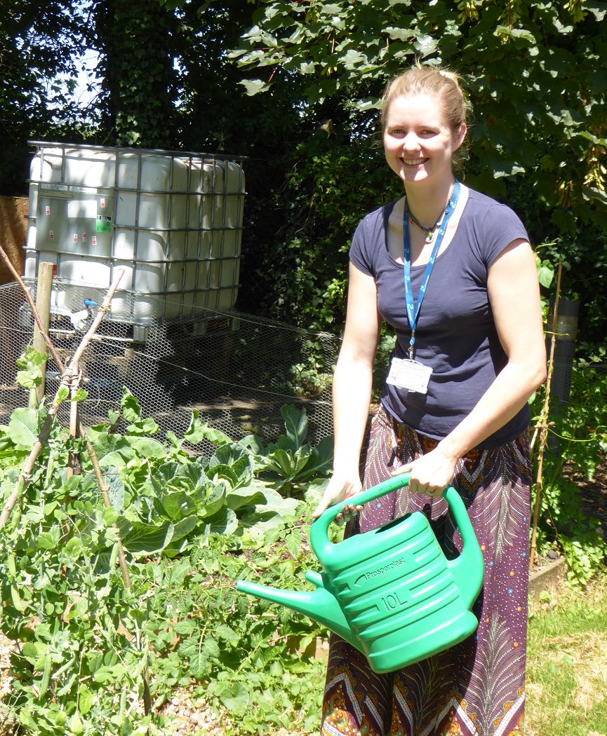 howberypark's tweet photo. Tales from the #HowberyPark community #allotments : Amelia is having great success with growing peas, although sadly the rocket has bolted! Meanwhile Rebecca is very pleased with this season's crop of rhubarb and broad beans. @nurture_ltd https://t.co/oI8kCfRMo3