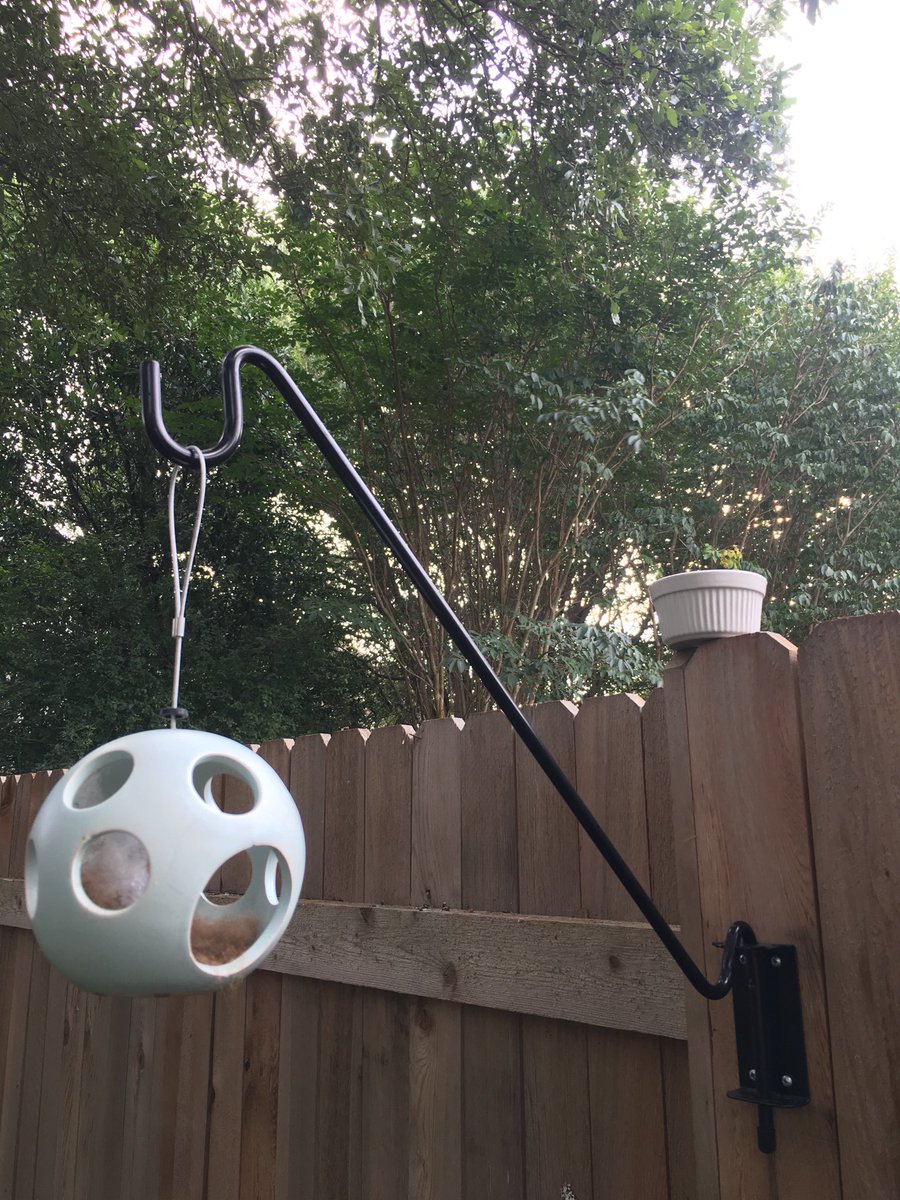 scarletp210's tweet image. The water bowl for the critters is small... well, because mosquitoes. Ugh, the bastards! #summerproblem