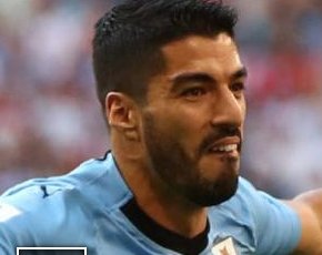 Funny Cats tweet media