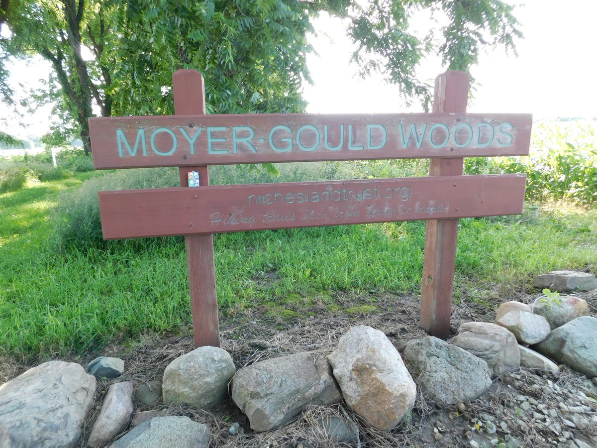 Lady_Xythis's tweet photo. Evening walk in Moyer-Gould Woods. #DuckTalesCache #geocaching https://t.co/SzyPdSzi4K