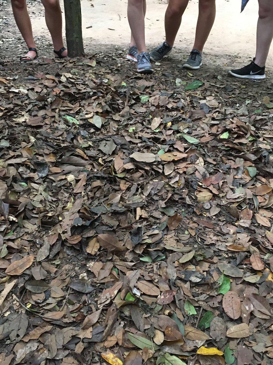 ForAcadVietnam's tweet photo. Cu Chi Tunnels https://t.co/HV6MJ97BGl