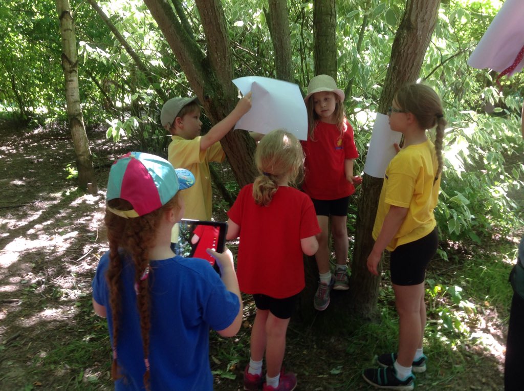 2SG are learning to take professional photos this afternoon, we are thinking about using light and shadow.