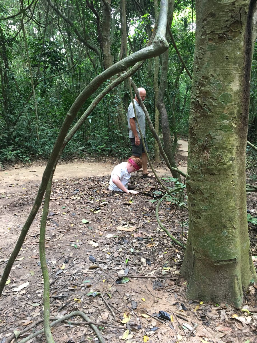 ForAcadVietnam's tweet photo. Cu Chi Tunnels https://t.co/JU8NGvqfNK