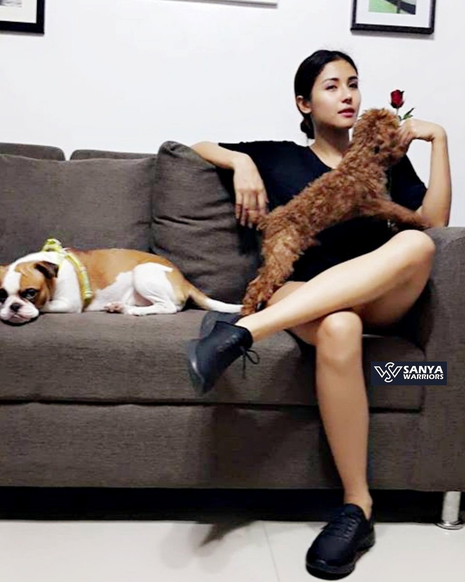 SanyaWarriors's tweet image. Sanya with her furbabies J-mi and Dani #SanyaLopez #SkechersPH @sanya_lopez @SkechersPH @ArtistCenter