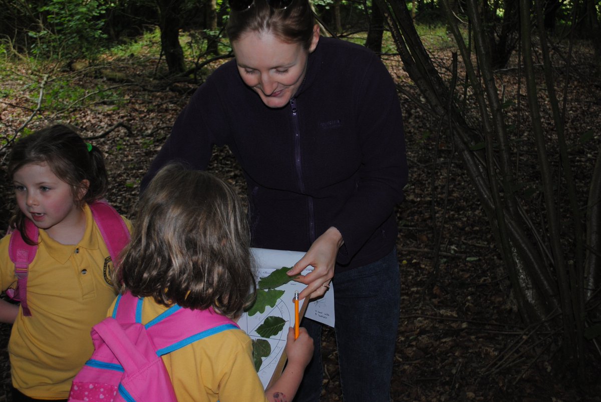 CKISGreenClas's tweet photo. Crickley Hill: Learning about leaves https://t.co/qnM8sxTSmD