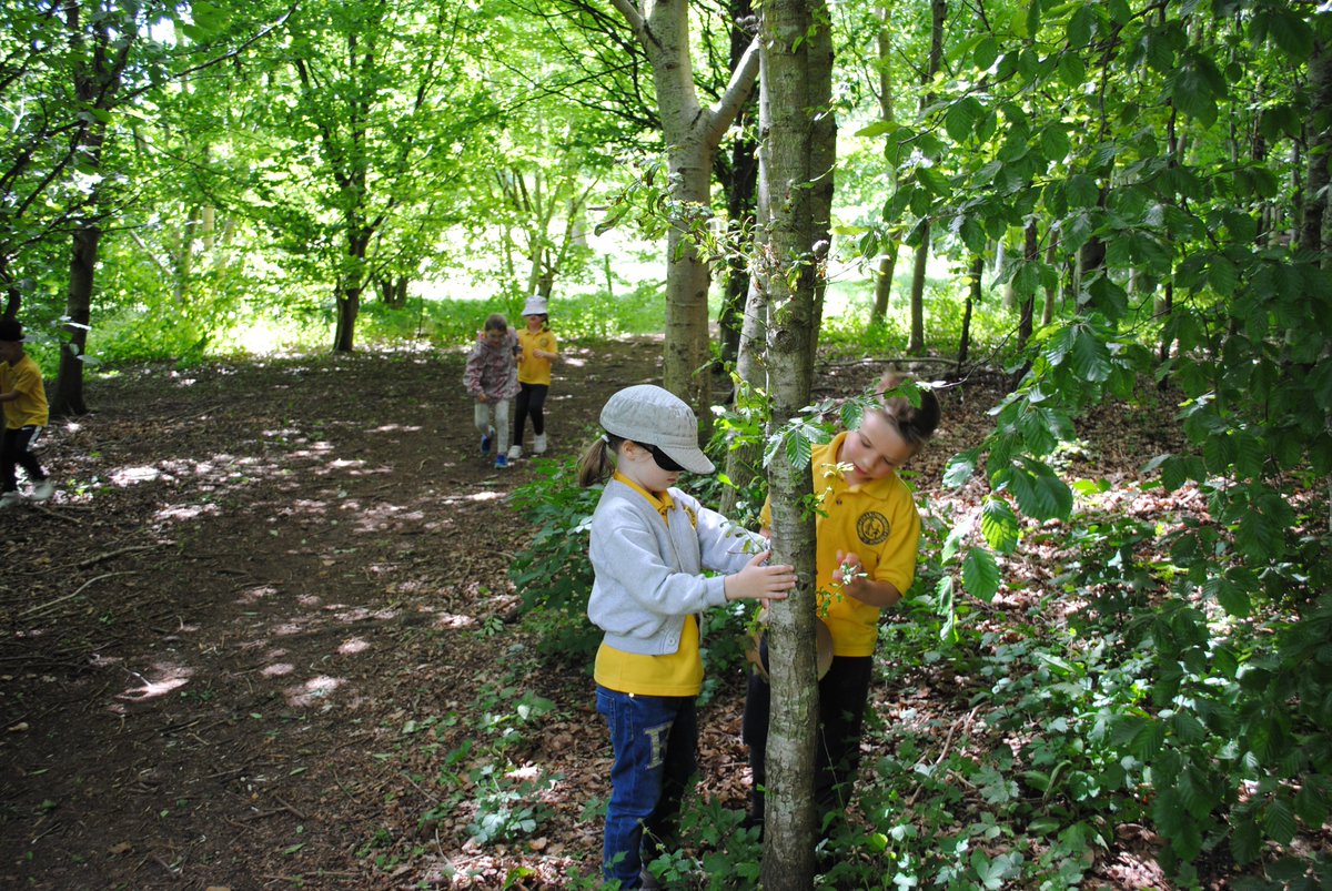 CKISGreenClas's tweet photo. Crickley Hill: Finding our way around blindfolded.  Can we trust our friends? https://t.co/8uNITrI5xF