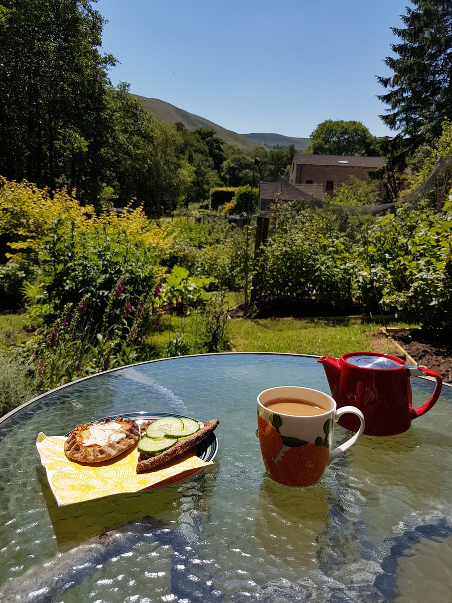 rsen5's tweet photo. Back in UK and a real #Suomi #Finnish treat in our @peakdistrict garden - cucumber on #ullanpakari baked #ryebread and a #karelianpasty from the #Imatra bakery. #Assamtea served in the iconic @Marimekkoglobal Primavera @IittalaOfficial mug. The side plate? Origo from #Iittala. https://t.co/RjkUug7pYg