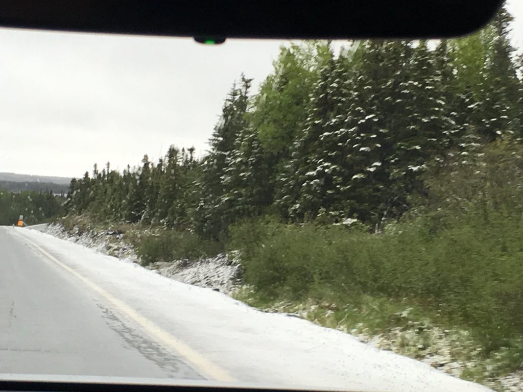 Drake22Drake's tweet image. June 26/2018. Route 360 #nltraffic #NTVToday