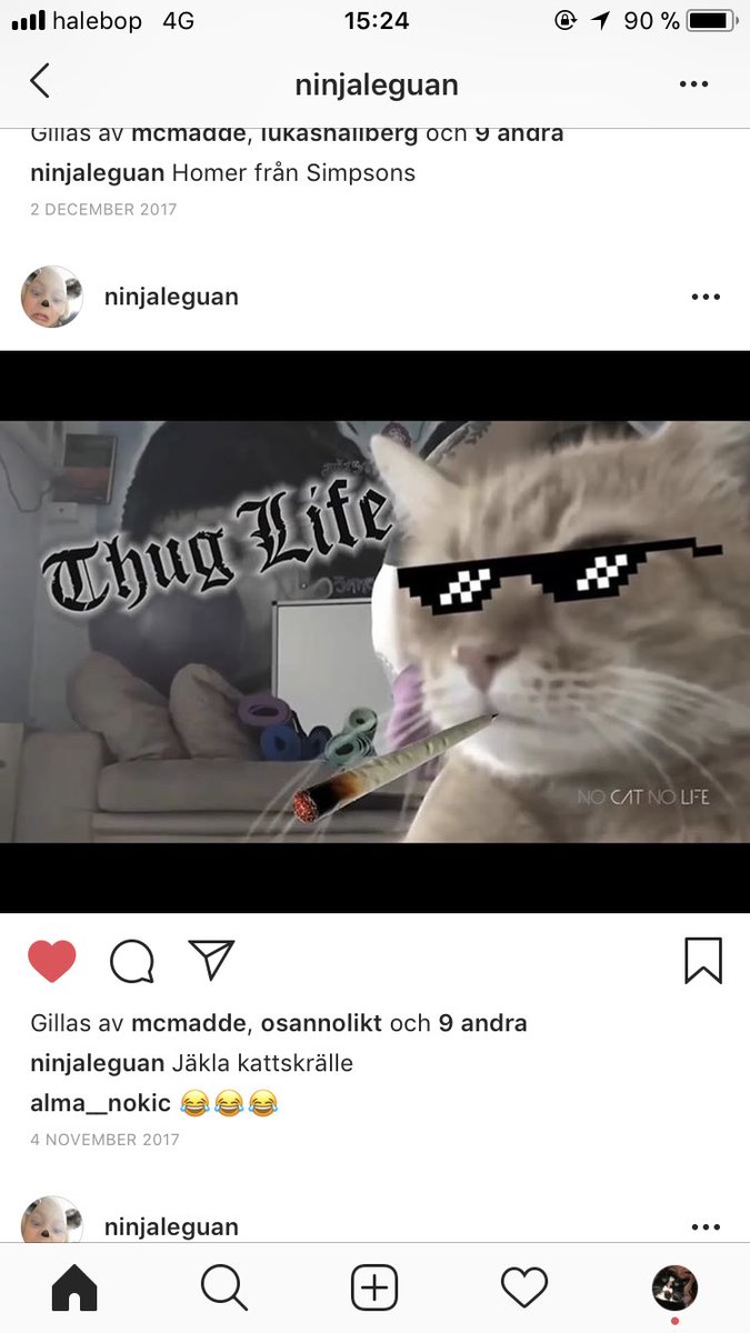 skitcreddig's tweet photo. min 8 åriga kusins instagram är det bästa jag vet. han är så liten??? skriver så mycket skumt???? mår så bra varje gång han lägger upp något https://t.co/iCPMo0F2bC