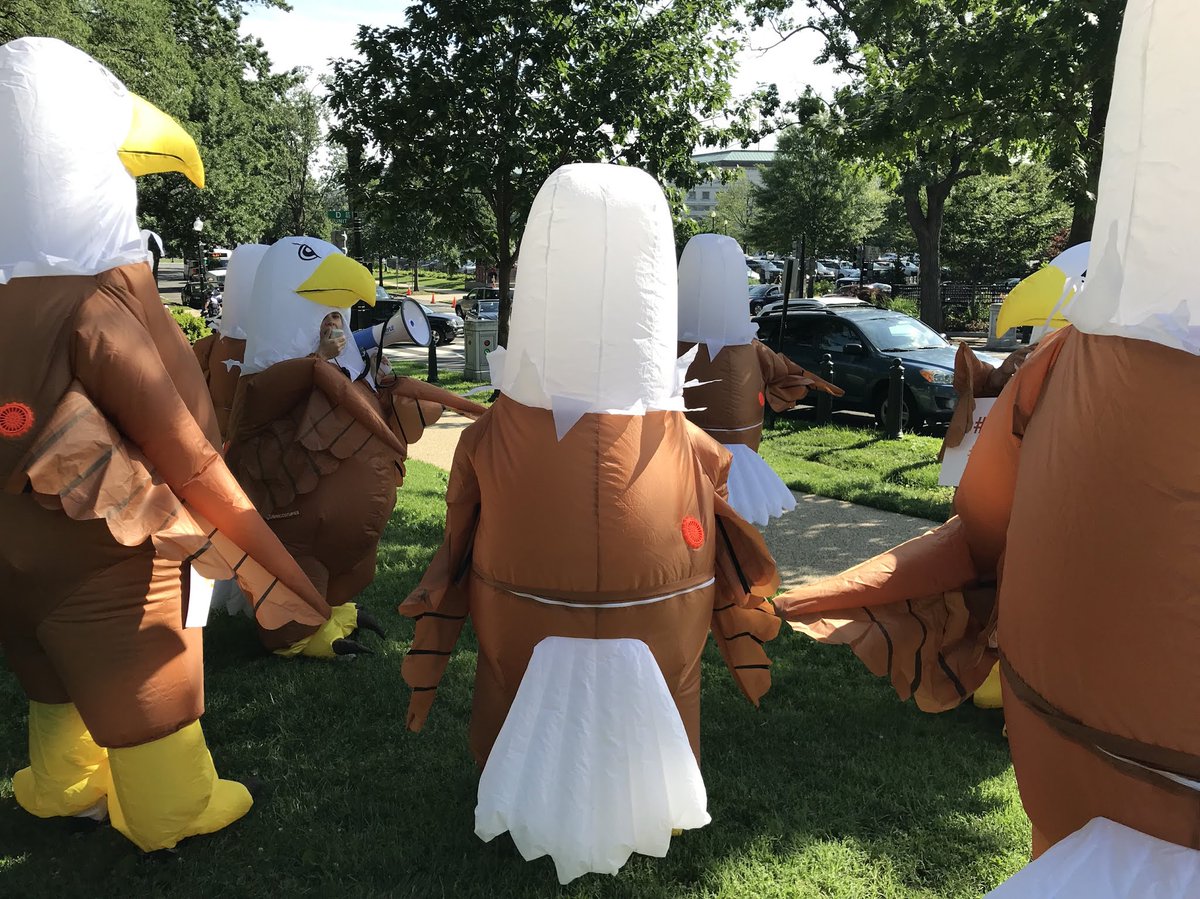ServiceYear's tweet photo. And that’s a wrap! When the Senate sits down to markup the 2019 budget today they will have heard thousands of #nationalservice advocates &amp; the #EaglesinDC loud &amp; clear: EXPAND NATIONAL SERVICE! 

https://t.co/KIyAAHPuob #LetUsServe https://t.co/TSTPk64g3X