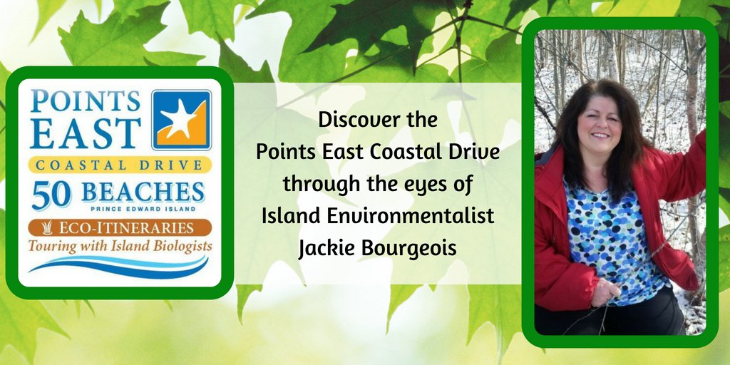 From a very early age, Executive Director of the <a href="/SEA_PEI/">SEAPEI</a>, Jackie Bourgeois has had a love, respect and connection to the environment!

Discover the beauty of the Points East Coastal Drive with the help of Island biologist, Jackie Bourgeois' ECO-tinerary!  ow.ly/9cWs30kFDfi