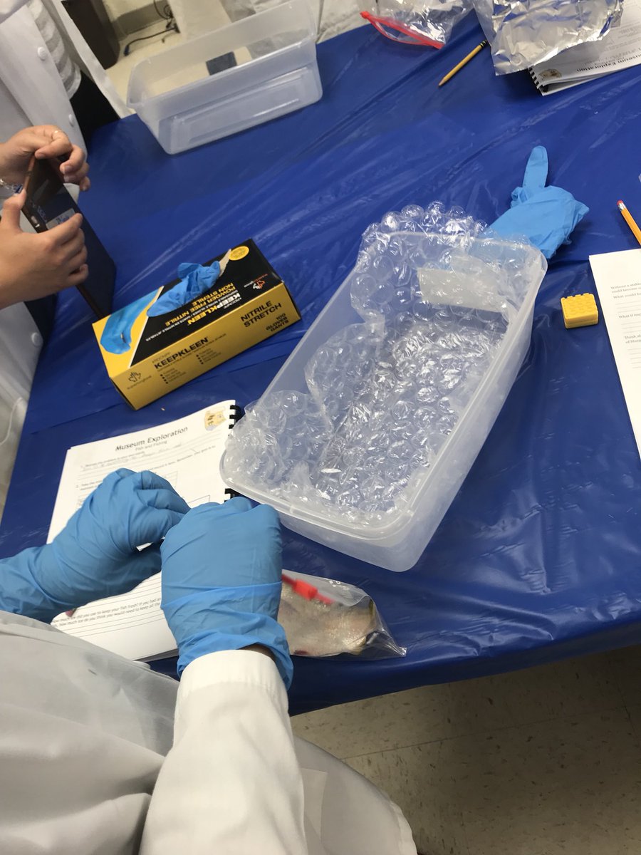 MsStiles_EDU's tweet photo. The best, and most smelly, day of #STEMCamp - we love insulating menhaden! #lcpsstem #KidsDeserveIt https://t.co/VOlM4Tf65d