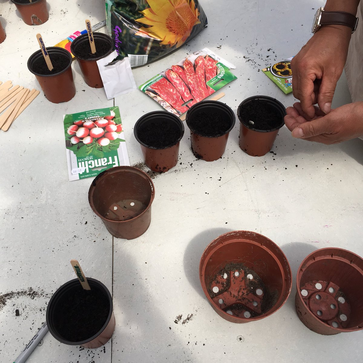 Lovely trip over to Lower Marsh to see @Wright1Carole sharing fascinating #beekeeping knowledge with our gardening group <a href="/CoinStreet/">Coin Street</a>