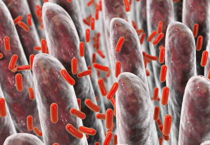 Gut bacteria markers could show signs of early #liver disease - bit.ly/2N1u9wE