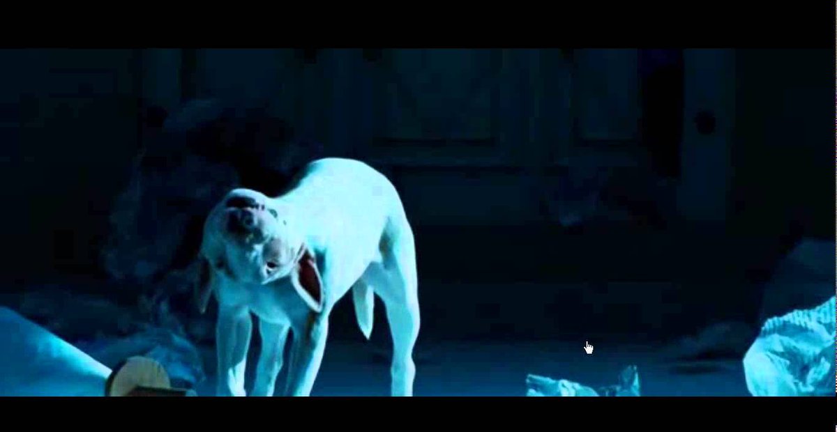 люди собаки ужасы