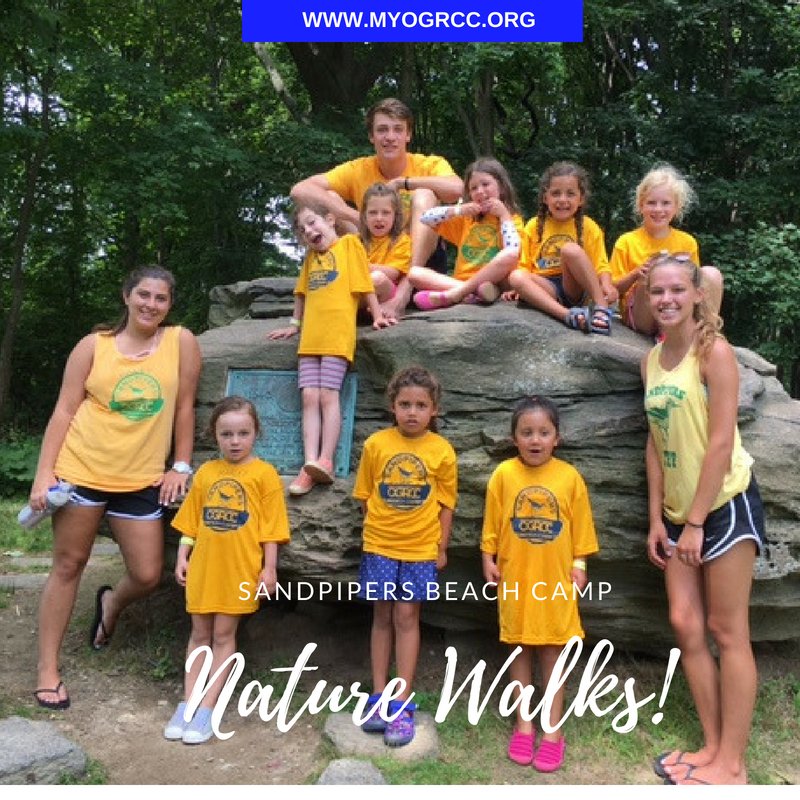 MYOGRCC's tweet image. We always love a nature walk at Tod's Point!  Our campers are enjoying a beach adventure. Join us for Sessions 3 and 4. Still a few spots open. buff.ly/2tmIvi9