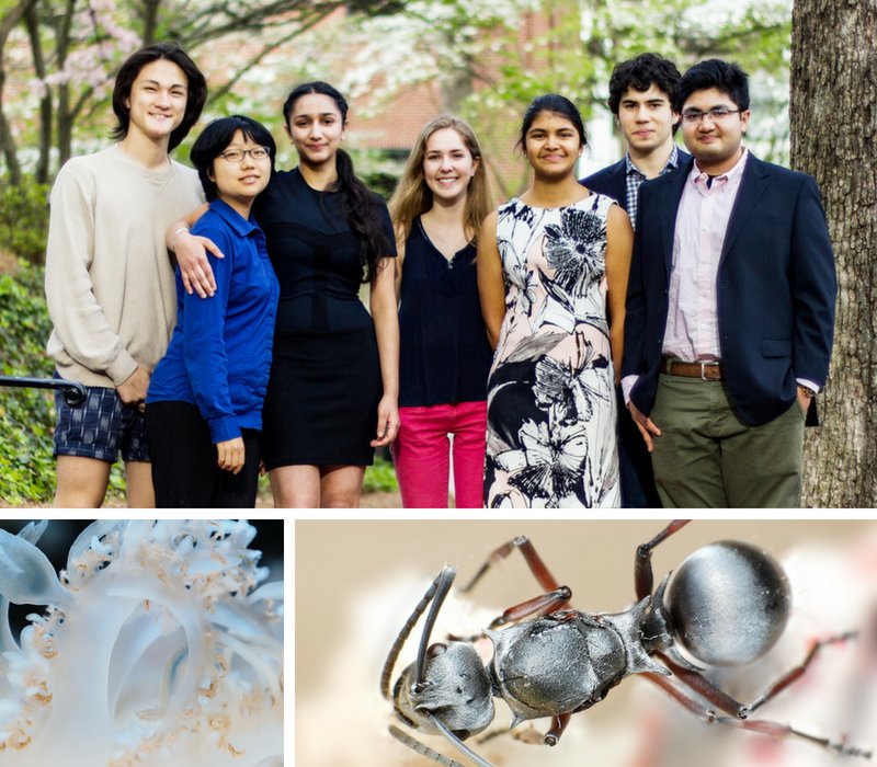 BiomimicryInst's tweet photo. Announcing 8 new finalists in the $100k #Biomimicry Global Design Challenge w @RaysLegacy! These #entrepreneurs see the possibilities for a #sustainable world reflected in the living systems that surround us. Take a closer look at their winning innovations
https://t.co/q06R7bw6NM https://t.co/4adJvJpSu3